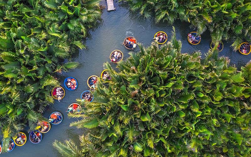 Bay Mau Coconut Forest