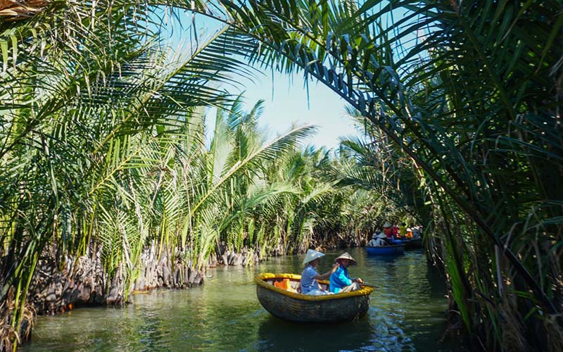 Bay Mau Coconut Forest