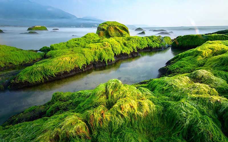 Nam O Reef