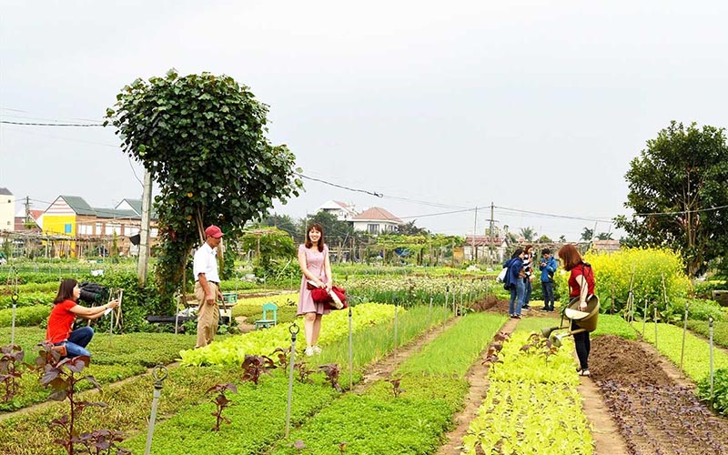 Tra Que Vegetable Village