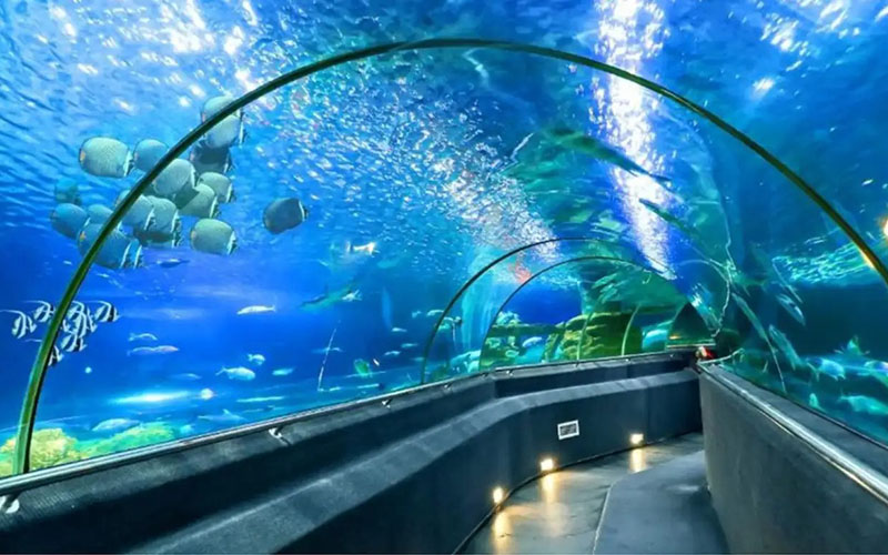 What to do in Nha Trang